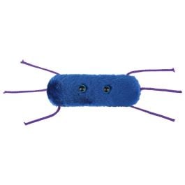 Listeria Listeria monocytogenes