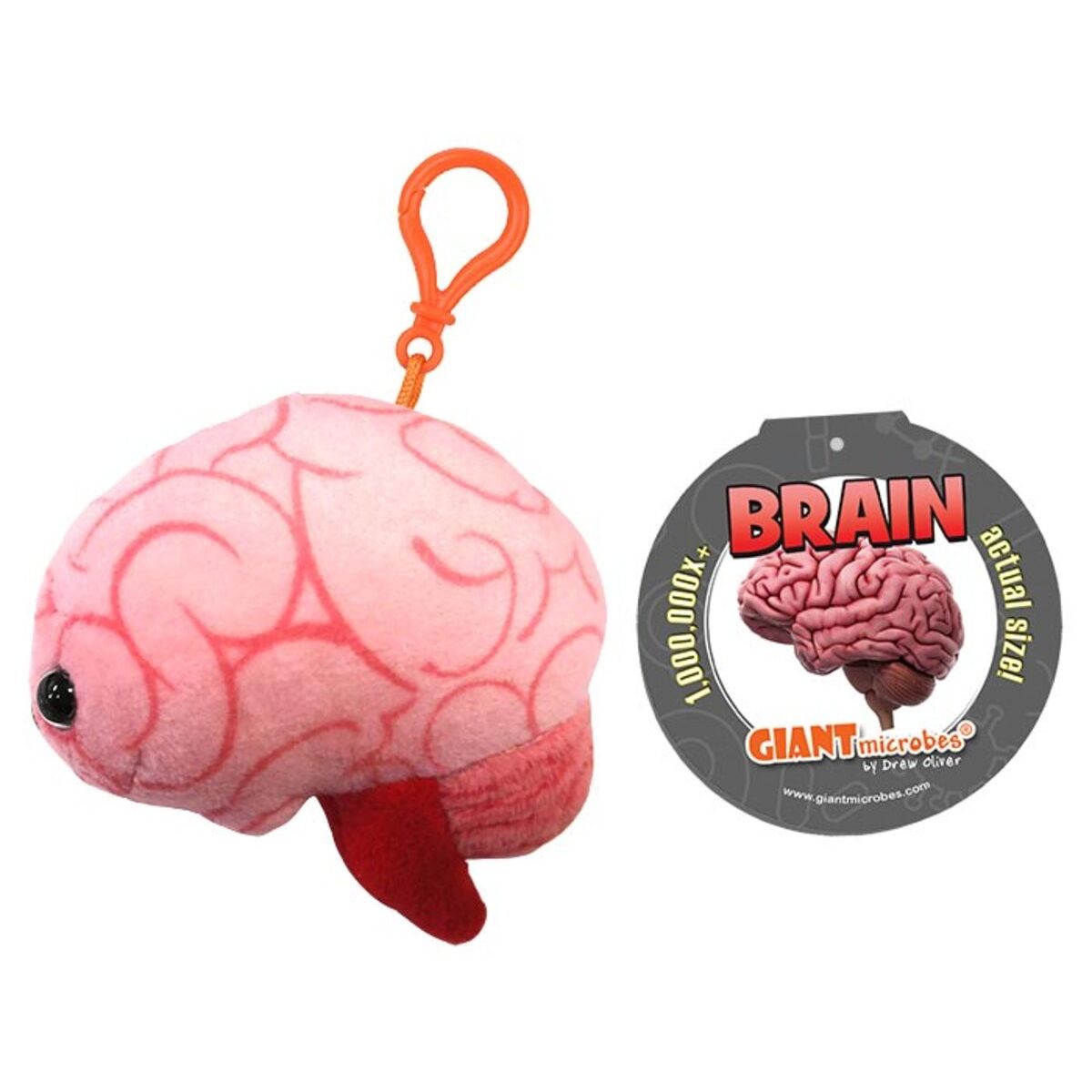 Brain Key Chain Mini Organ Plush GIANTmicrobes