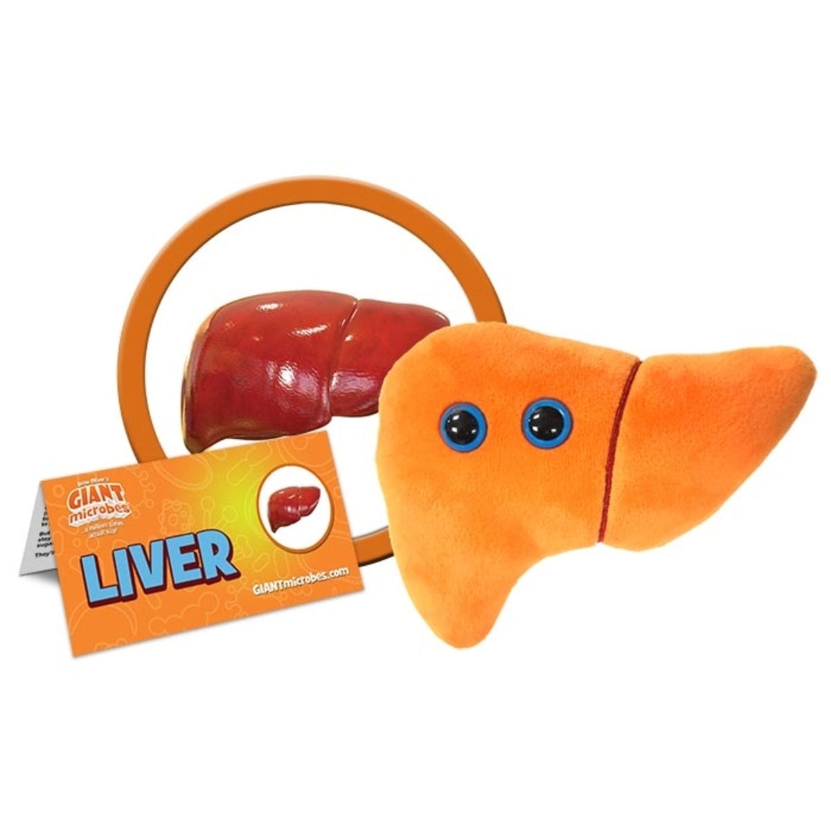 Liver - Essential Organ Plush | GIANTmicrobes