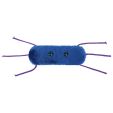 Listeria plush front