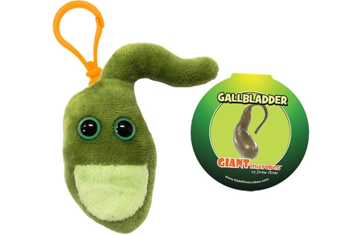 Gallbladder Key Chain - Digestive Organ Plush | GIANTmicrobes