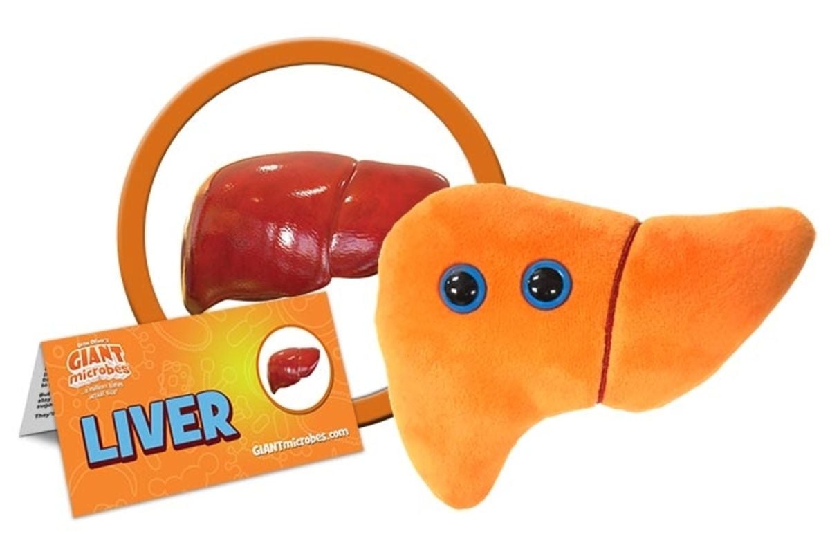 Liver - Essential Organ Plush | GIANTmicrobes