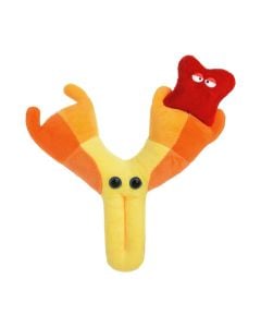 Antibody plush front