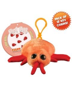 https://www.giantmicrobes.com/us/media/catalog/product/cache/db8024c7cc6d59a0a9e5a8a19a0a4bc6/b/e/bed-bug-kc-pack.jpg