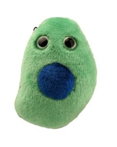 Beta Cell plush front