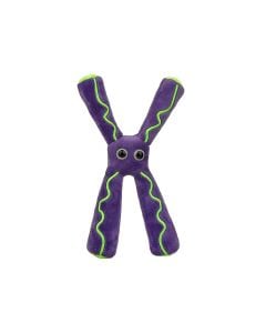 Chromosome plush front