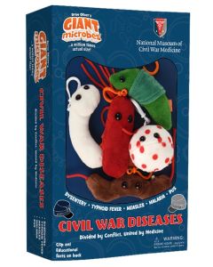 Civil War Diseases box final