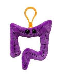 Colon key chain