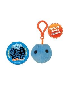 Common Cold key chain 12