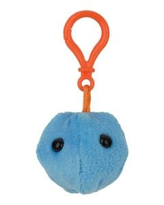 Common Cold key chain