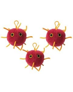 Coronavirus key chain 3-pack