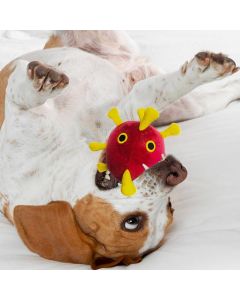 COVID Dog toy in mouth