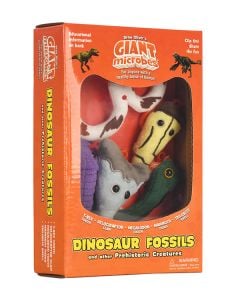 Dinosaur Fossils gift box angle