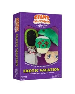 Exotic Vacation box