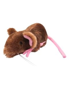 House Mouse