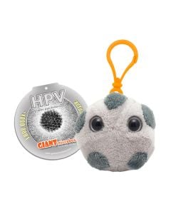 HPV key chain