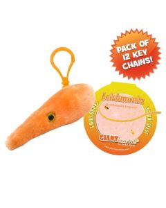 Leishmania keychain pack