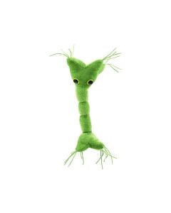 Nerve Cell plush front