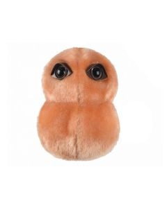 Pneumonia plush front