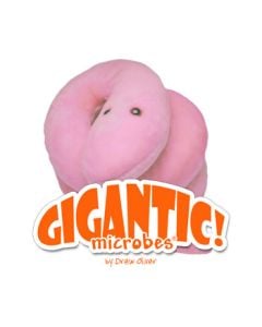 Pox Gigantic 14"