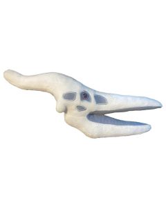 Pteranodon Skull