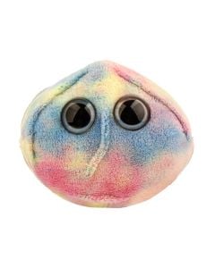 Stem Cell plush front