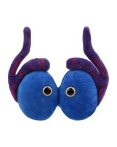 Testicles plush front