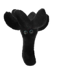 Toxic Mold plush front