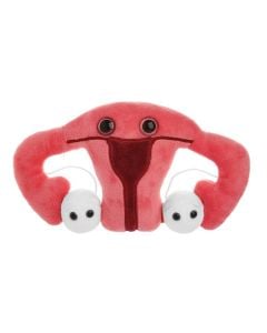 Uterus plush front