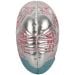 AI Brain back