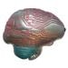AI Brain plush side right