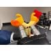 Antibody plush using microscope