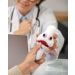 Arthritis plush with patient