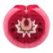 Asthma plush back