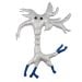 Brain Cell gigantic new front