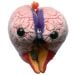 Brain model kc front