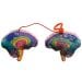 Brain model kc inside