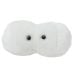 Cavity plush hi-res