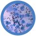 Clap microbial