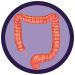 Colon real image
