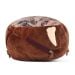 T. rex fossil dig plush back