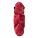 Kidney plush new front