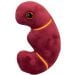 Kidney plush new side