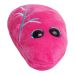 Lung plush pink top
