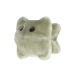 Norovirus plush angle