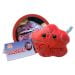 Placenta plush cluster