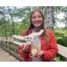 Pteranodon plush in hand
