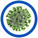 SARS real microbial image