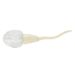 Sperm Cell plush back view