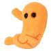 Stomach new plush angle